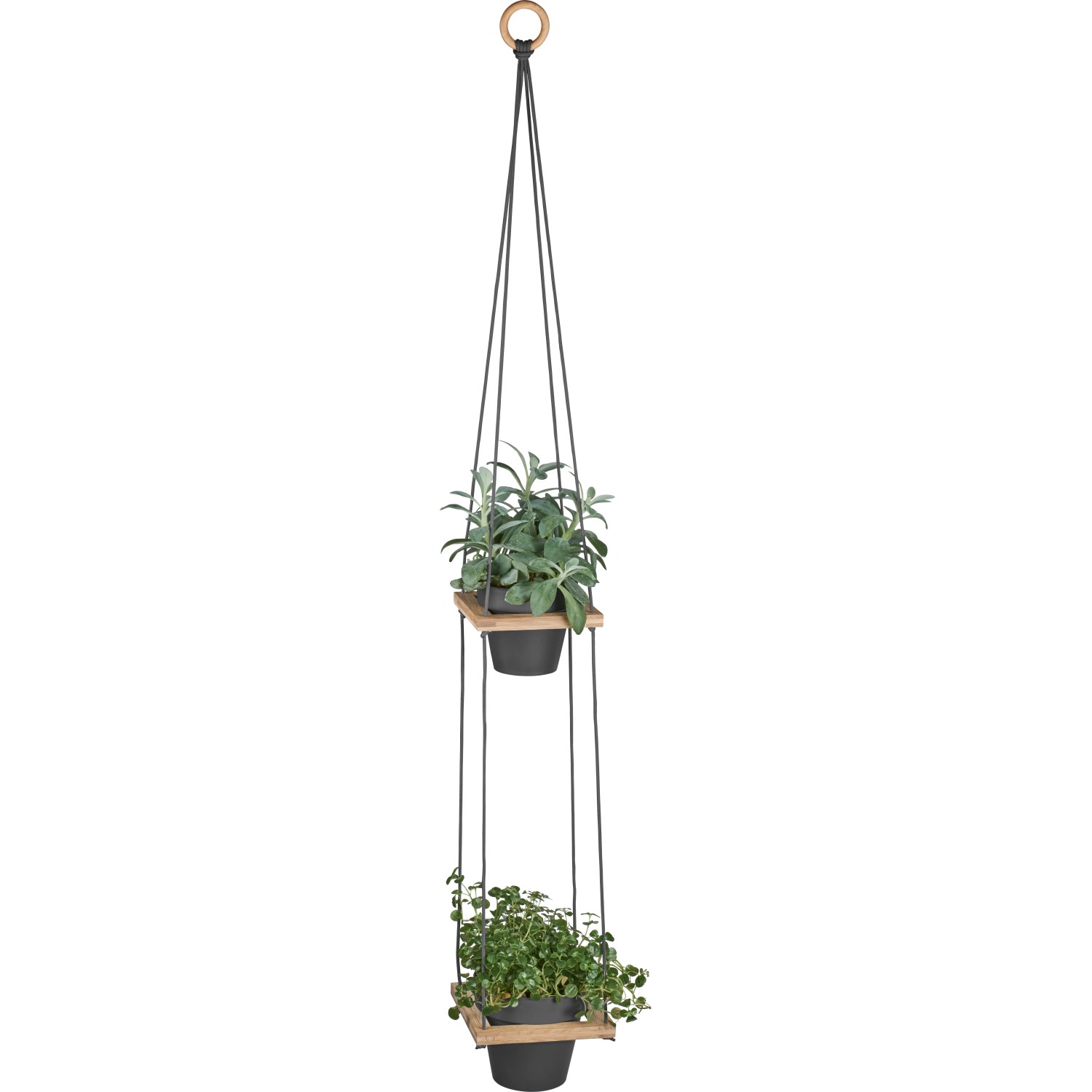 schwarzer blumenkasten Liva schwarz Balkonblumenkasten 60 / 80 / 100 cm – Balconyliving.de main image 0