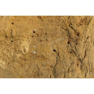 Nahaufnahme: Braunfarbenes Scherf Sandarium für Wildbienen mit kleinen Löchern.