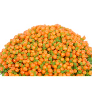 Korallenbeere Astrid mit leuchtend orangefarbenen Beeren im Topf.