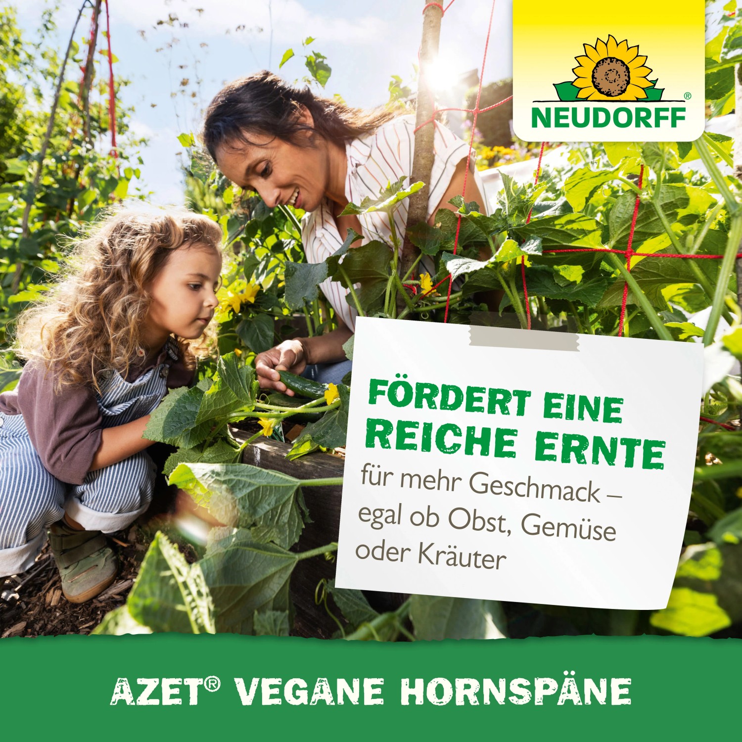aloe juice benefits Lakewood Organic Pure Whole Leaf Aloe main image 1