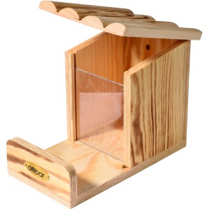 Geflammte Dobar Eichhörnchen-Futterstation aus Kiefernholz mit Acrylglas-Sichtfenster.