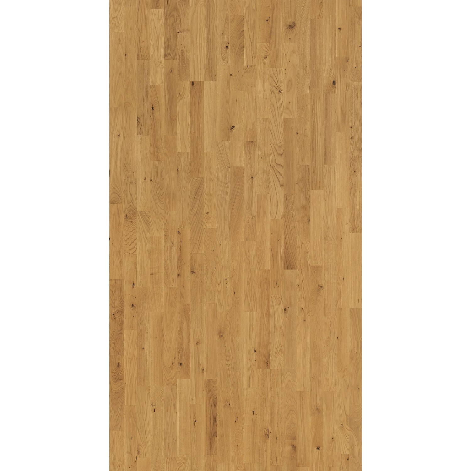 Parador Parkett Classic 3060 Eiche hell, Schiffsboden-Optik mit matter Oberfläche.