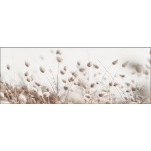 Pro Art Glasbild Field Flowers V 80 cm x 30 cm