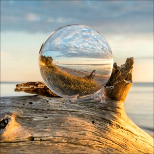 Glasbild Drop On Wood, 20x20 cm: Landschaft in Glaskugel auf Holz.