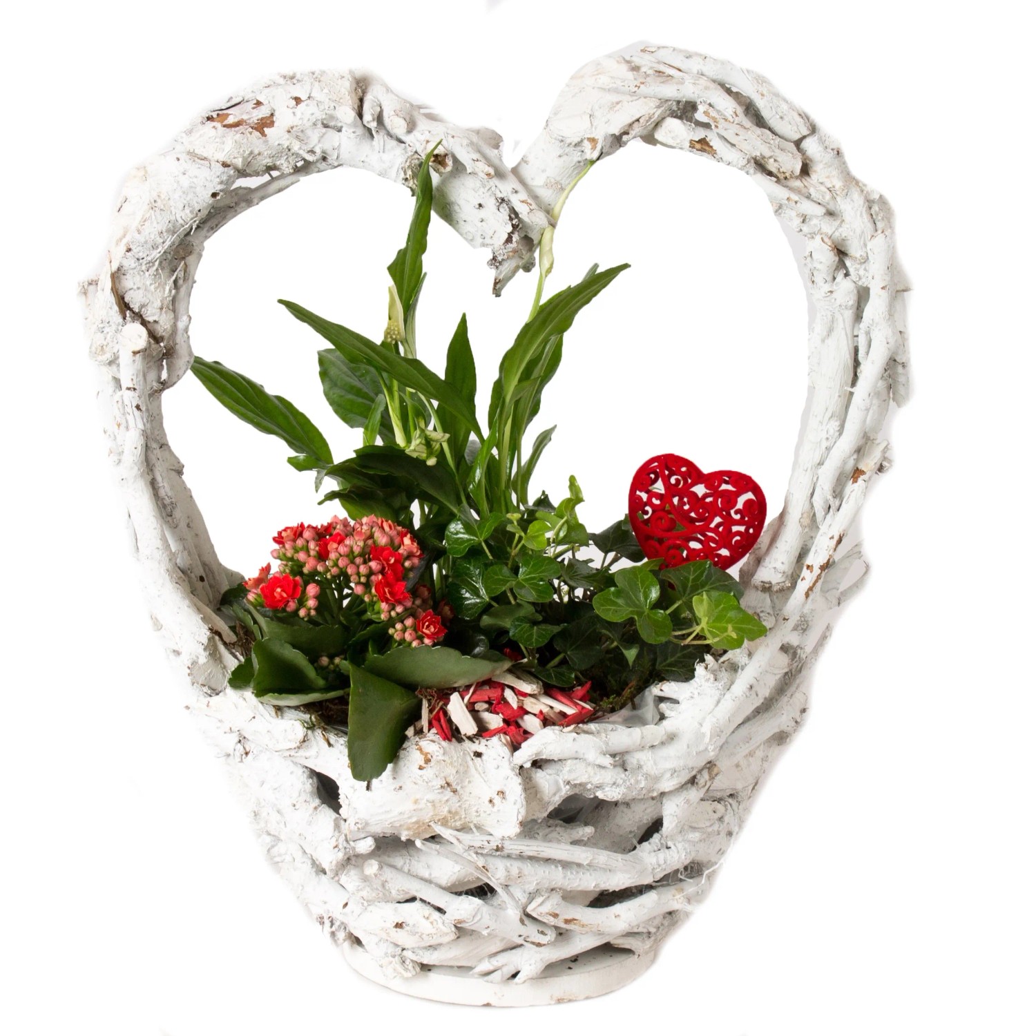 Pflanzen-Arrangement im Herz-Korb Topf- ca. 38 cm kaufen bei OBI