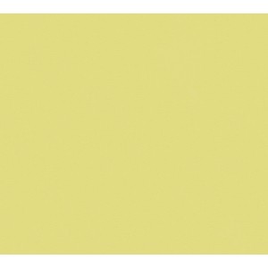 AS-Creation Vliestapete Metropolitan Stories, Uni Grün-Gelb, formstabil und trocken abziehbar.