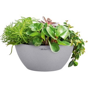 Lechuza Cubeto Stone 30 Pflanzgefäß in Steingrau, bepflanzt mit verschiedenen Grünpflanzen.