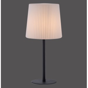 Paul Neuhaus Tischleuchte Falter Anthrazit 28 x 60 cm