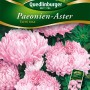 Samenpackung Quedlinburger Paeonienaster 'Turm rosa' mit rosa Blüten.