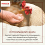 Hand füttert weißes Huhn mit Supravit Legemehl. Spezielles Geflügelfutter für Hühner.