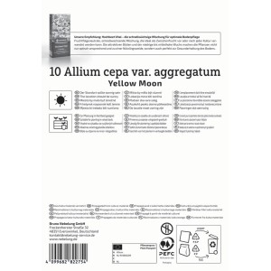 Kiepenkerl Schalotte Yellow Moon, Gr. 7/15