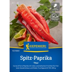 Kiepenkerl Spitzpaprika Thor F1-Hybride, rote, längliche Paprika vor grünem Blattwerk.
