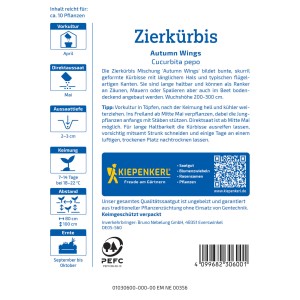 Kiepenkerl Zierkürbis Autumn Wings Samenpackung mit bunten, skurrilen Kürbissen.