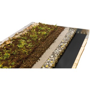 Skan Holz Dachbegrünungspaket für Carport: Detailansicht der Schichten mit Sedumsprossen, Substrat und Filtervlies.