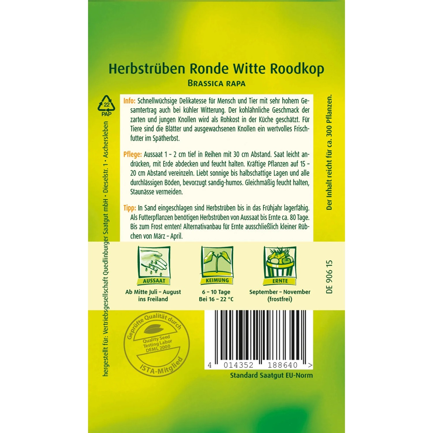 Quedlinburger Herbstrbe ''Ronde Witte Roodkop'' kaufen bei OBI