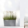 Ecopots Pflanztopf Paris Rollen Grau (HxBxT) 51 x 100 x 40 cm_5