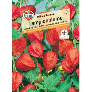 Samenpackung Sperli Lampionblume Mikie's Laterne mit leuchtend roten Blüten.