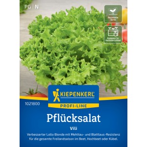 Kiepenkerl Pflücksalat Vili: Frischer, grüner Salat mit gekräuselten Blättern, ideal für Beet, Kübel und Hochbeet.