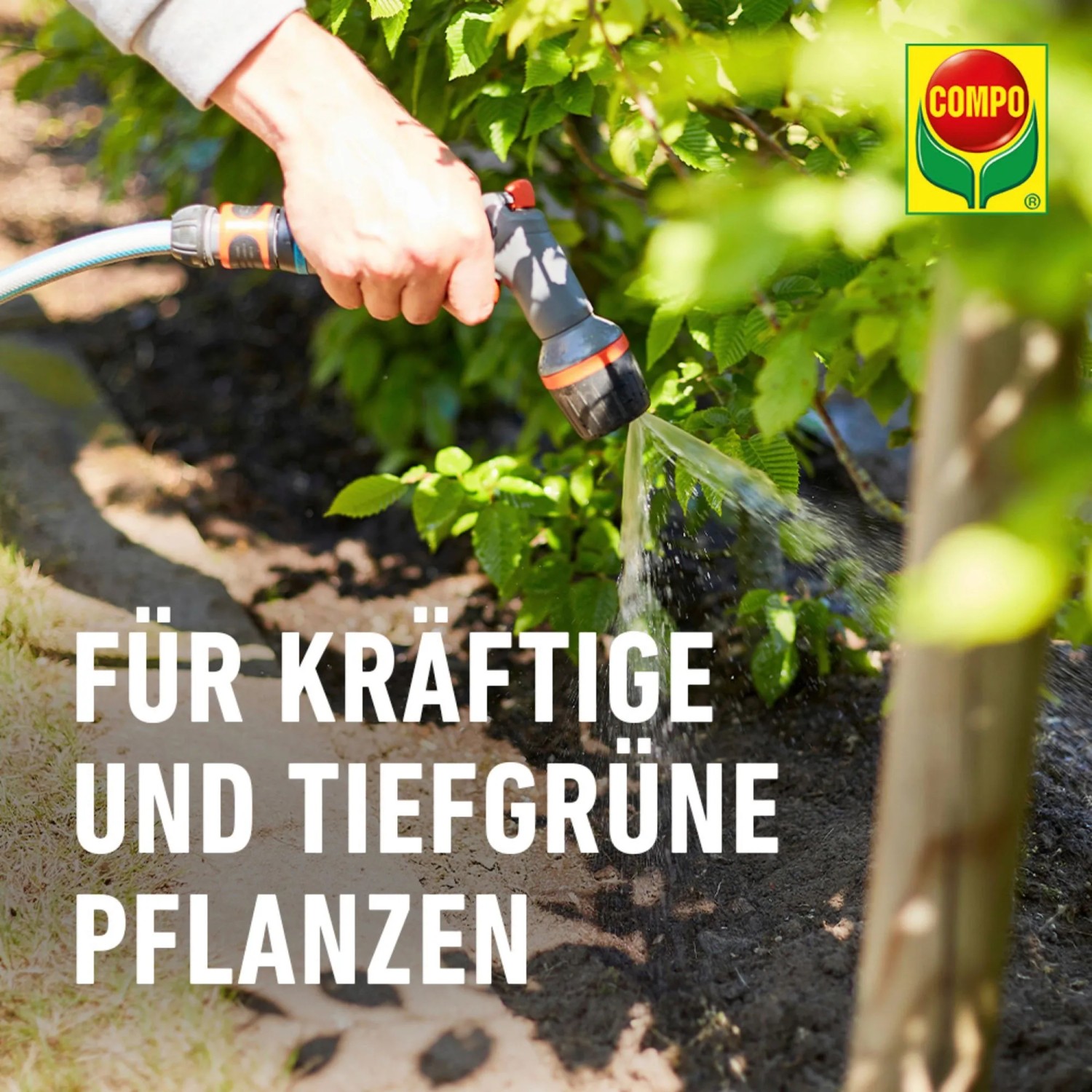 Compo Bio Gehlz Langzeit-Dnger 2 kg kaufen bei OBI