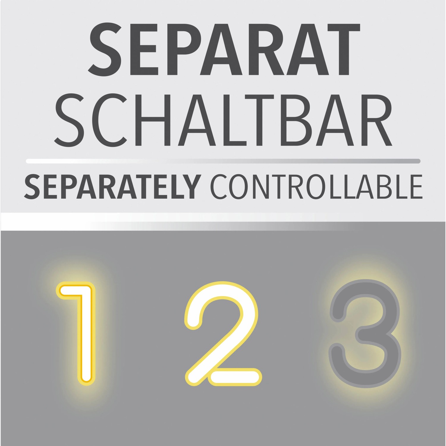 Symbol für separat schaltbare LED-Deckenleuchte Barik von Paul Neuhaus.