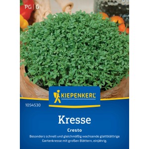 Kiepenkerl Kresse Cresto im Topf, grüne Blätter. Kräutersamen für Garten und Küche.