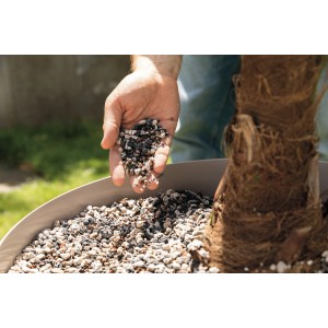 Lechuza Palm Pon Pflanzsubstrat in Hand über Pflanzkübel mit Palme. Spezialsubstrat für Palmen.