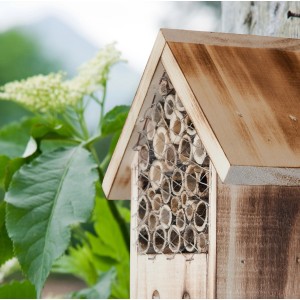 Holz Insektenhotel zur Post, Nützlingsunterkunft mit Schilf und Gitter.