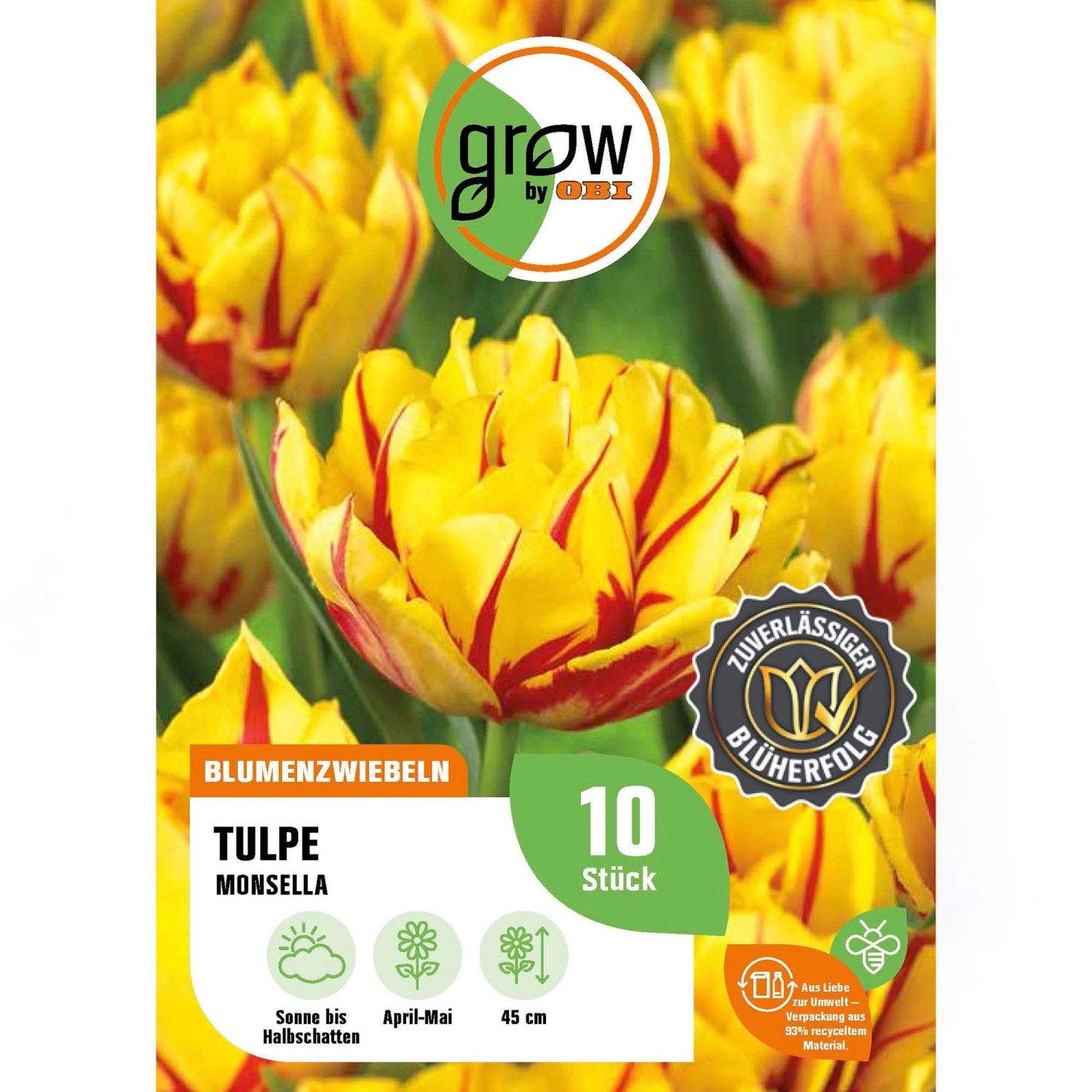 GROW by OBI PfingstrosenTulpe "Monsella" GelbRot 45 cm Tulipa kaufen
