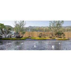 Floraworld Bambusmatte Gala als Sichtschutz im Garten mit Teich und asiatischer Gartengestaltung.
