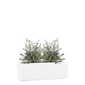Pflanzwerk Pflanzkübel Tub Premium Frostbeständig 50 cm Weiß