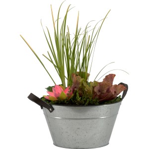 OBI Terrassenteich in Zinkwanne Weiß Topf-Ø ca. 38 cm