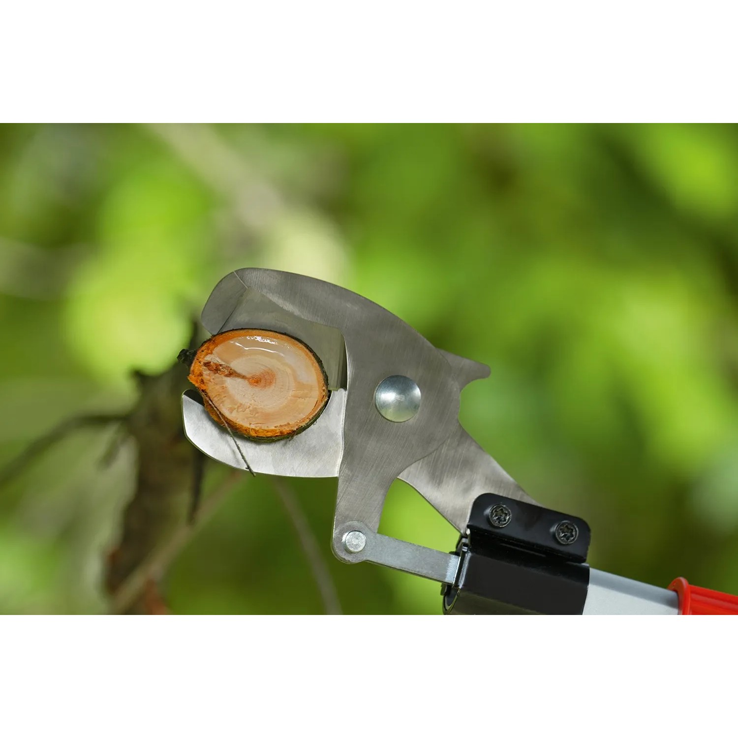 Bosch Advanced Prune 18V-45 Akku-Baumschere schneidet Ast. Gartenschere mit Verlängerung.