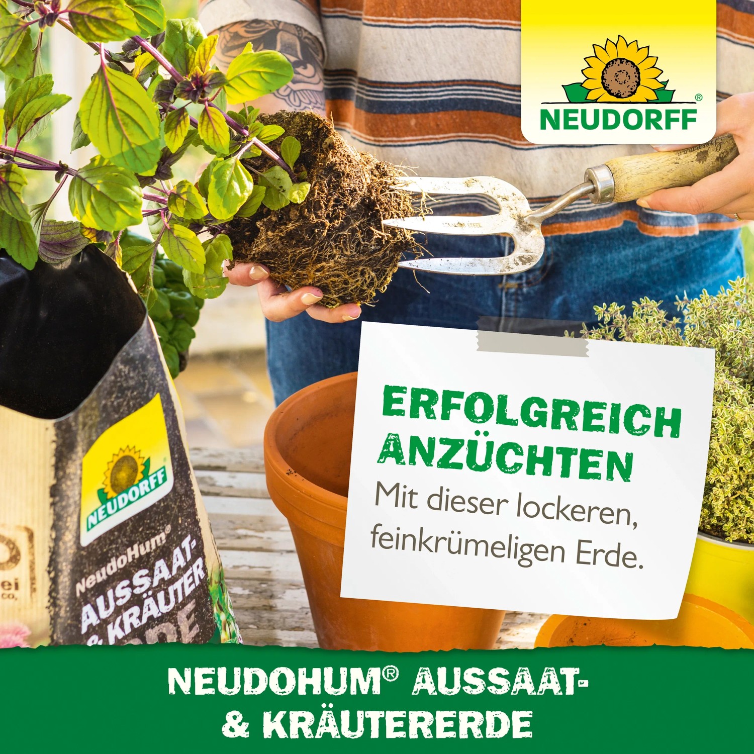 Neudorff Neudohum Aussaat- & Kräutererde im Bild: Person hält Pflanze und Erde über Topf, Sack Erde im Vordergrund.