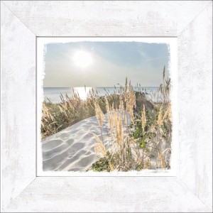 Bild mit Rahmen: Strandhafer und Meer im weißen Landhausstil-Rahmen, 44x44 cm.
