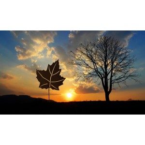 Ferrum Art Design Gartenstecker Ahornblatt, 141 cm, Edelrost vor Sonnenuntergang.