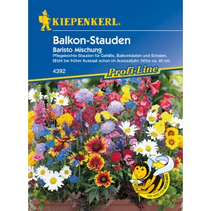 Kiepenkerl Blumenmischung Balkon-Stauden Baristo für farbenprächtige Balkonkästen.