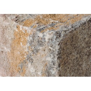 Diephaus Mauerstein Maximo Brista Muschelkalk, Detailansicht des Steins.