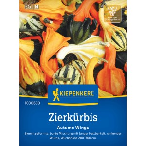 Kiepenkerl Zierkürbis Autumn Wings Samen mit bunten, skurrilen Kürbissen in Gelb, Orange und Grün.