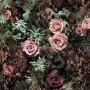 Komar Fototapete Velvet (368x254 cm) mit Rosen und floralem Muster.