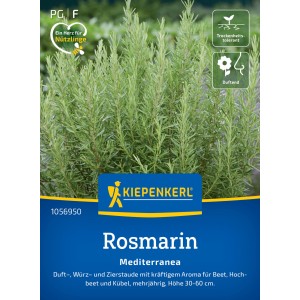 Kiepenkerl Rosmarin "Mediterranea"