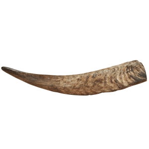 Supravit Schafhorn Kauspielzeug für Hunde, naturbelassen, splitterfrei, zahnpflegend. Ideal als Hundeknochen.