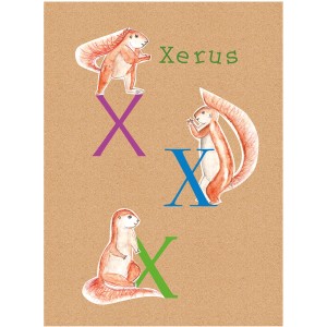 Komar Wandbild ABC Animal X, 40x50 cm, mit Xerus-Illustrationen und bunten Buchstaben.