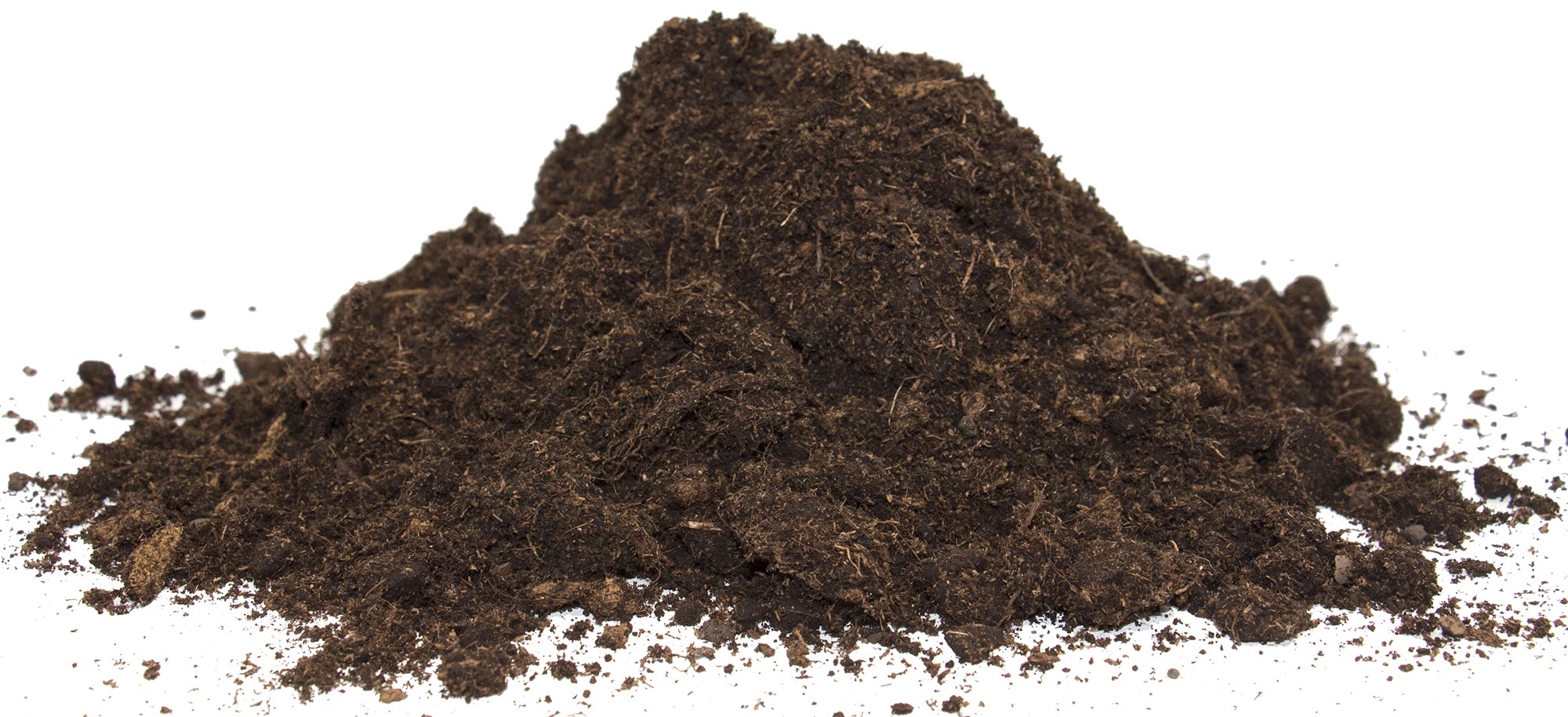 Floragard Aktiv Grünpflanzen und Palmenerde 1 x 20 l kaufen bei OBI