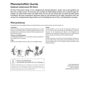 Kiepenkerl Pflanzkartoffeln Gunda, 20 Stück, frühe Sorte mit gelbem Fruchtfleisch.