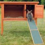 Trixie Holzrampe am Nagerstall: Kaninchen nutzt Rampe aus Kiefernholz für einfachen Ein- und Ausstieg.