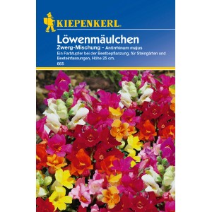 Kiepenkerl Löwenmäulchen "Zwerg-Mischung" Antirrhinum