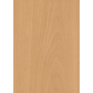 Zimmertür CPL Buche Holznachbildung, Detailansicht der Holzstruktur.