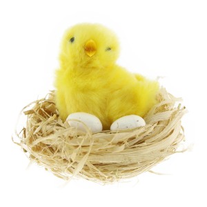 Gelbes Küken im Nest (7x6cm) mit zwei Eiern, Osterdekoration.