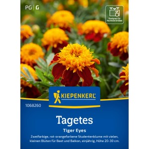 Kiepenkerl Tagetes Tiger Eyes: Blumensamen mit zweifarbigen, rot-orangen Blüten für Beet und Balkon.