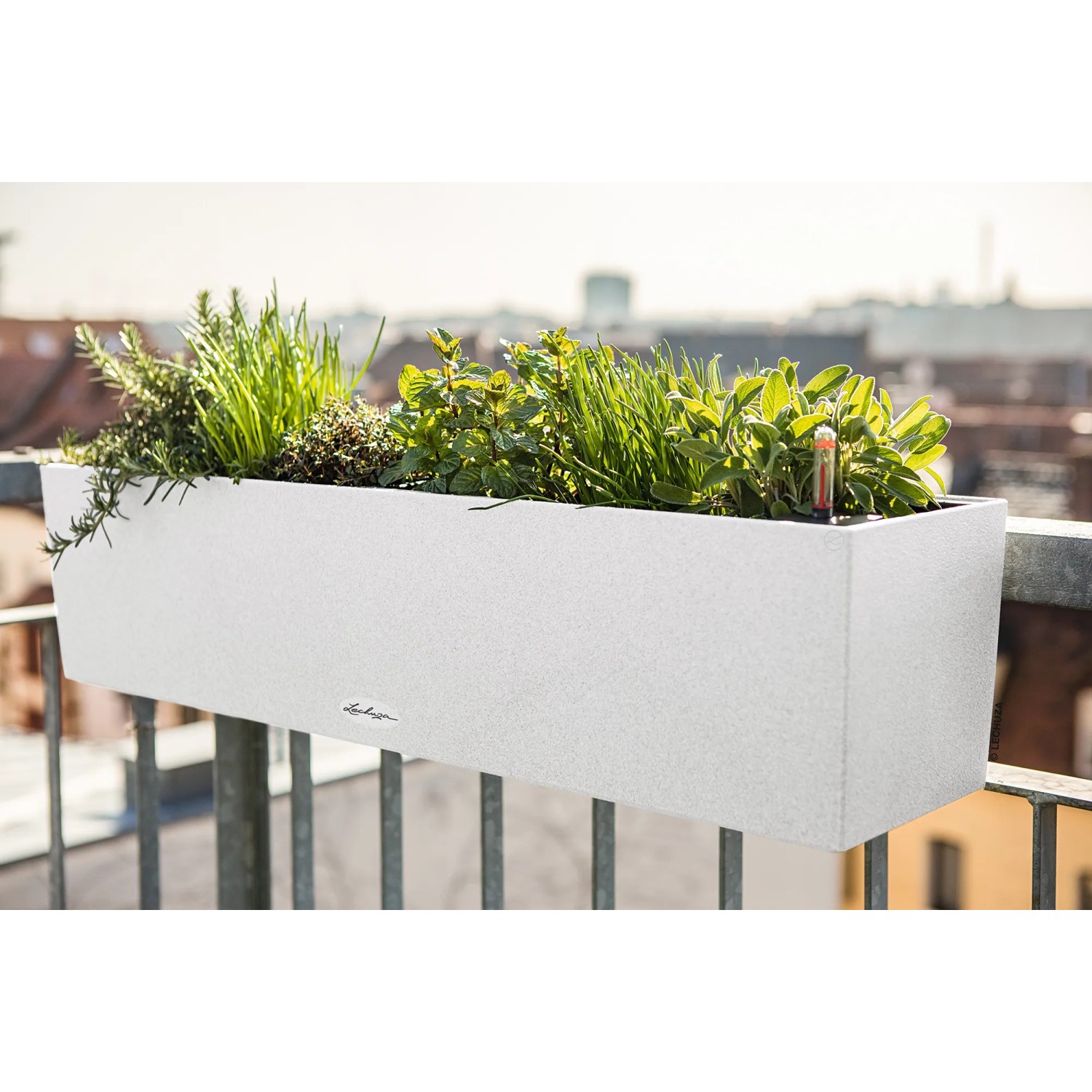 Lechuza Pflanzgef Balconera Stone 80 Quarzwei 79 cm x 19 cm kaufen bei  OBI